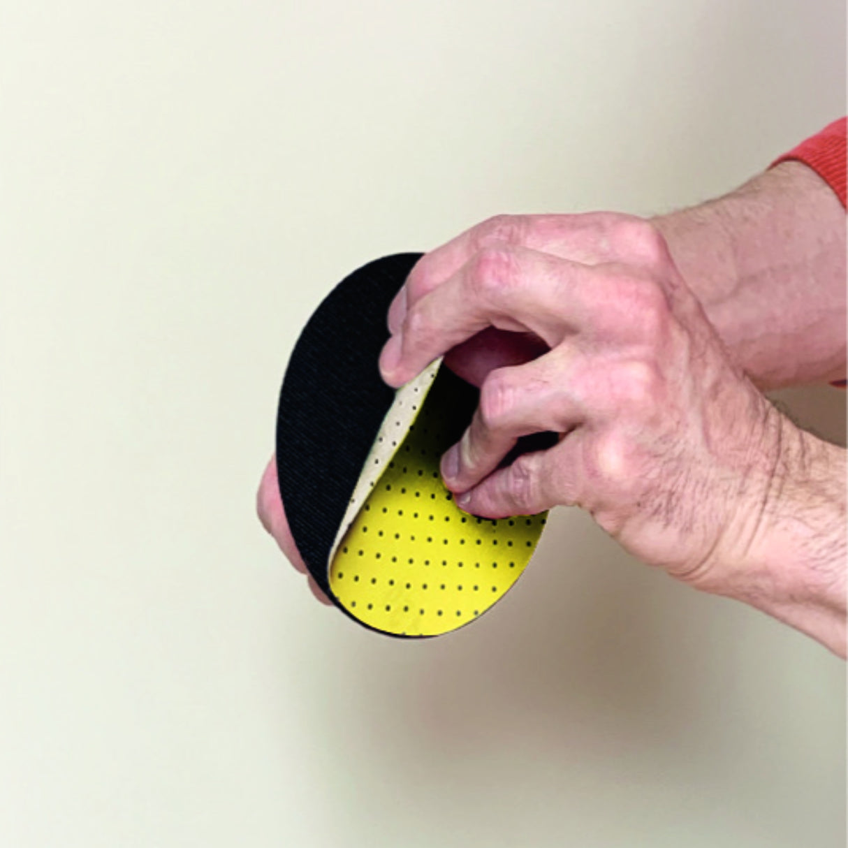 Richard 5" Radial Perforated Sanding Sheets (5 Pack)